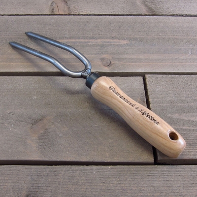 2-Tine Weeding Fork by DeWit Tools