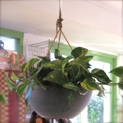 Artstone hanging pot: 'Fiona' bowl