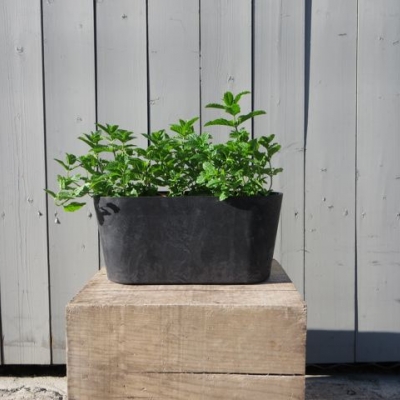 Pot: Artstone Window-box (rounded corners)