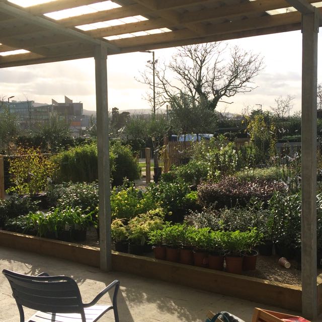 Airfield outside.jpg