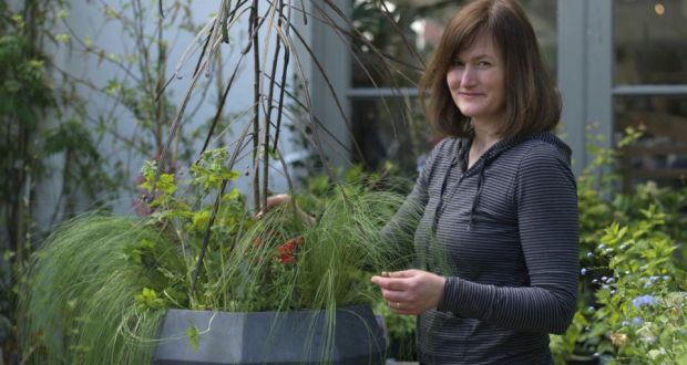 Anthea Howbert Dublin.jpg