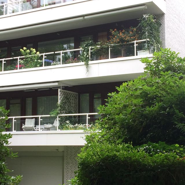 Balcony plants.jpg