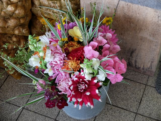 Cut flowers 3.jpg