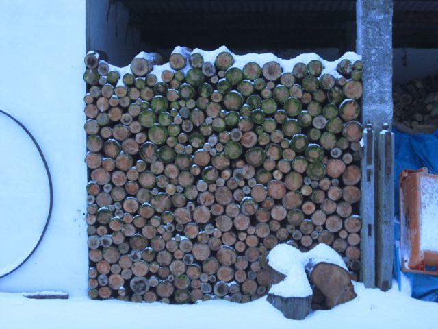 Drying your own logs