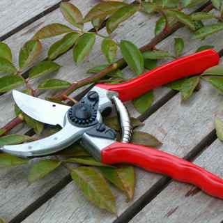 Felco secateurs Ireland