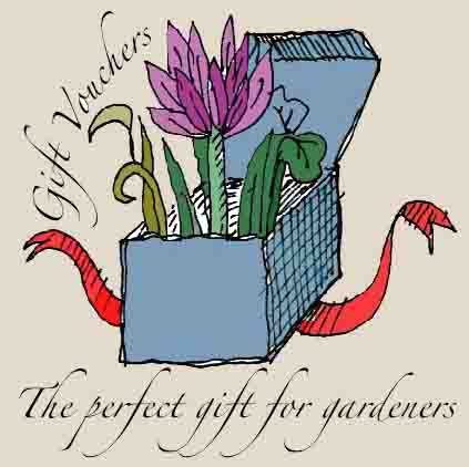 Give a gardening gift - the perfect gift for gardeners in Ireland