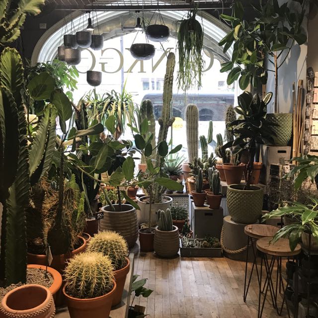 Ginkgo Stockholm.jpg