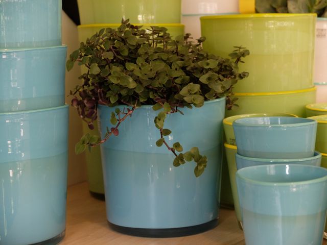 Glass pot holders.jpg