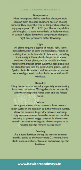 How to care for houseplants 2.jpg