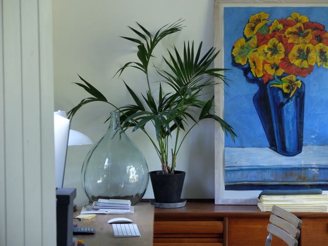 Indoor plant 3.jpg