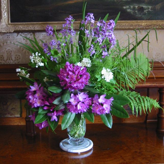 Flower arrangement, West Cork, Phlox, Rhododendron and fern.