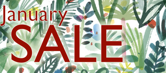 January sale blog page.jpg