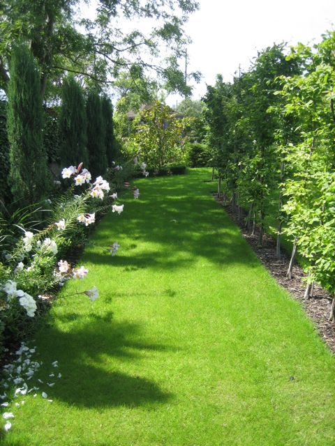 Long_garden_5_1.jpg