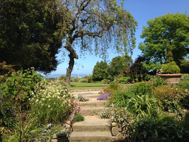 Monkstown garden design 1.jpg