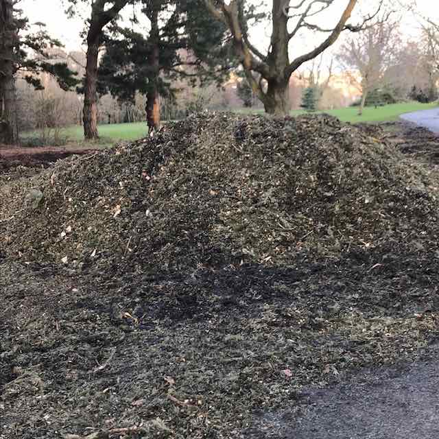 Mulched Christmas Trees.jpg