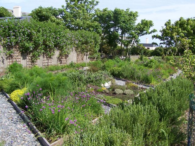 A very productive and attractive vegetable and herb garden at Renvyle House Hotel in Connemara.