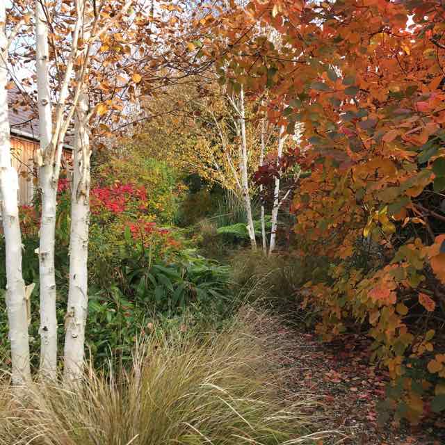 Ranelagh garden 2019.jpg