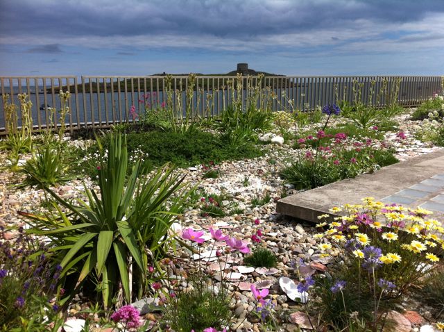 Seaside dalkey 3.jpg
