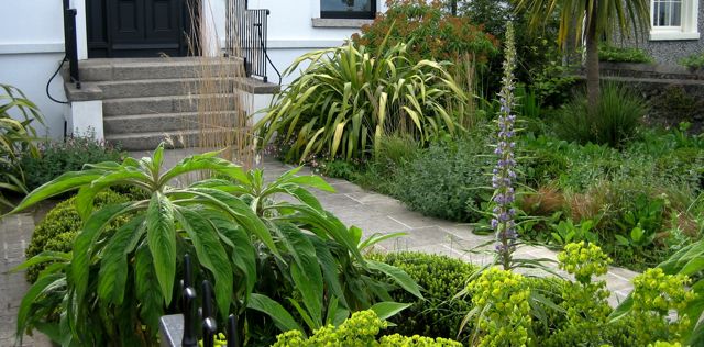 Seaside_garden__Sandymount_1_0.jpg
