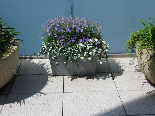 Tall artstone trough.jpg