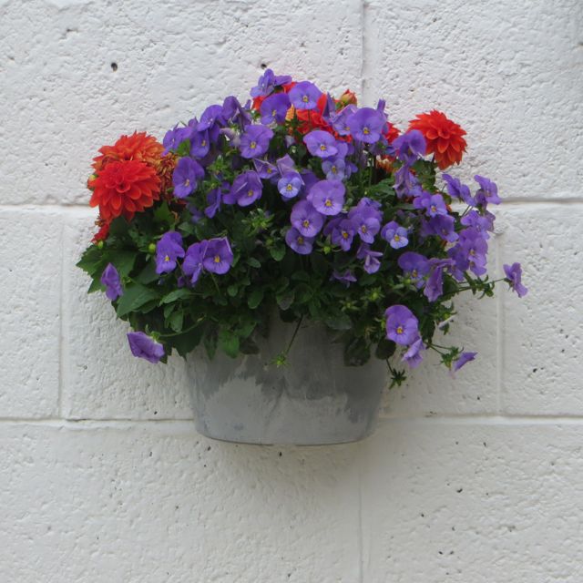 Wall planter.jpg