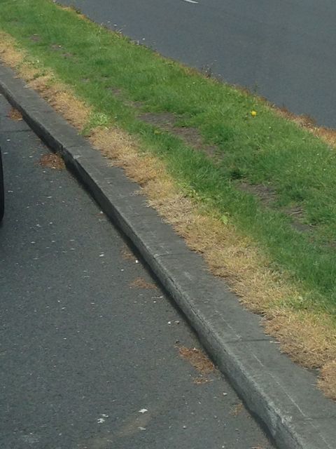 Weed killed road median Dublin .jpg