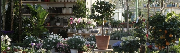 dunboyne interior 2020_opt-2.jpg