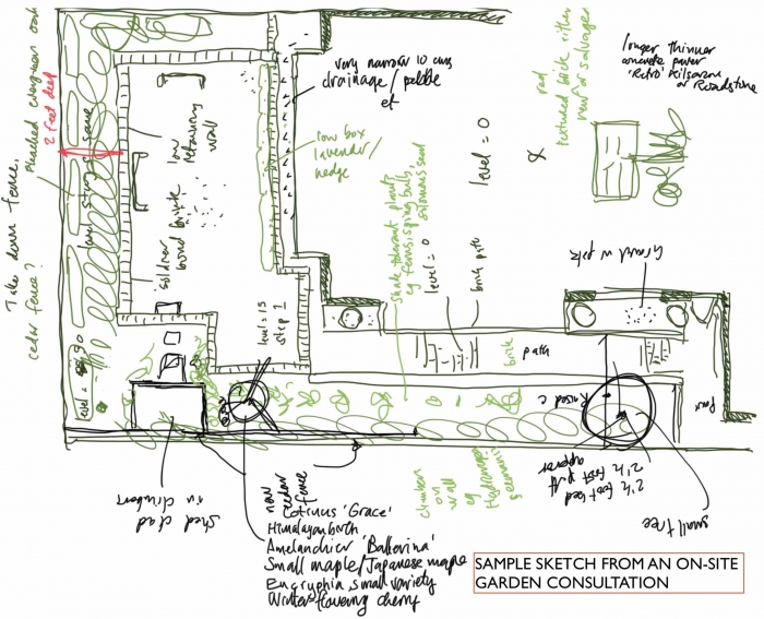 garden sketch 1.jpg