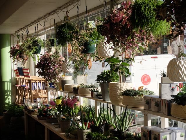 howbert mays window 2.jpg