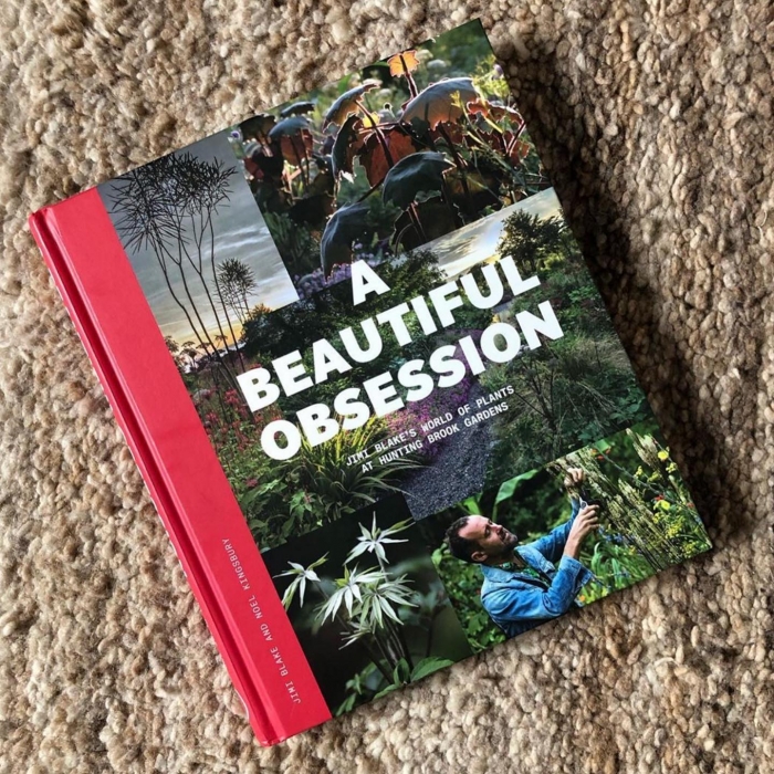 jimi blake book cover.jpg