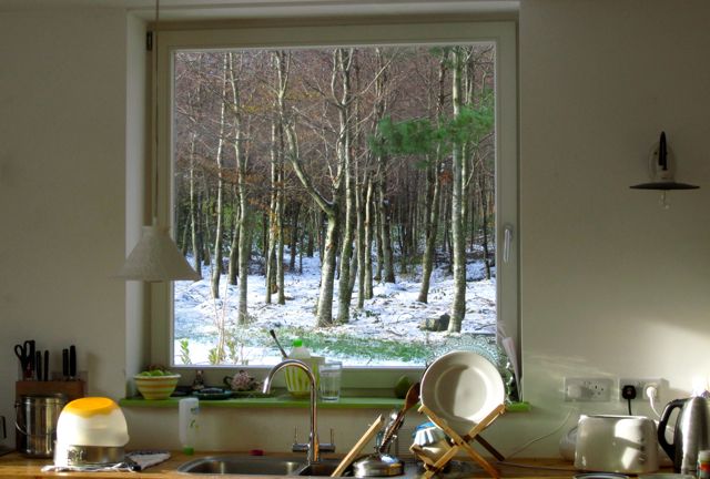 View from the kitchen sink into the woodland