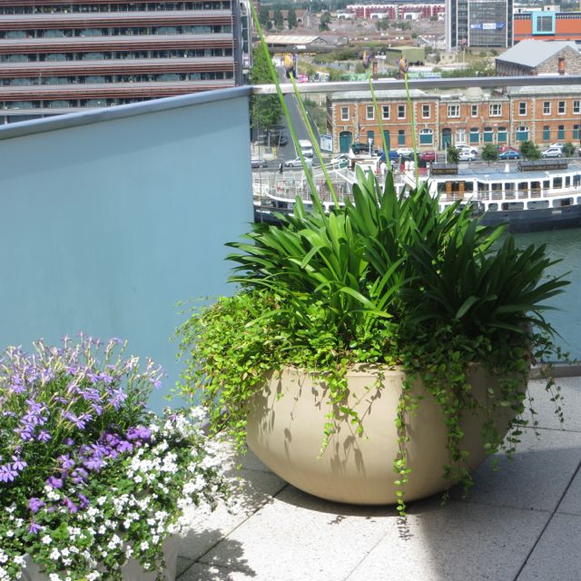 pot on balcony.jpg