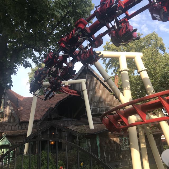 roller coaster in trees.jpg