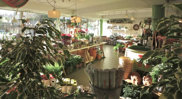 shop interior dec 2014.jpg