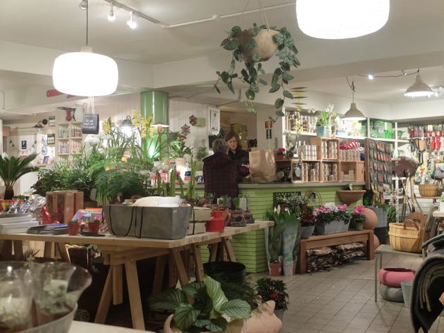 shop interior night.jpg