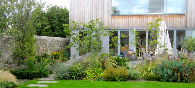 trees shrubs dublin.jpg