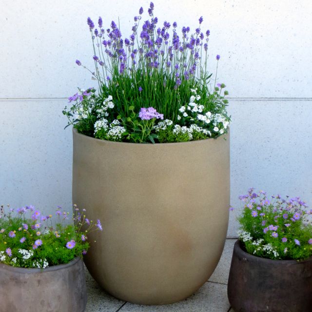 urbis pot dublin 2_0.jpg