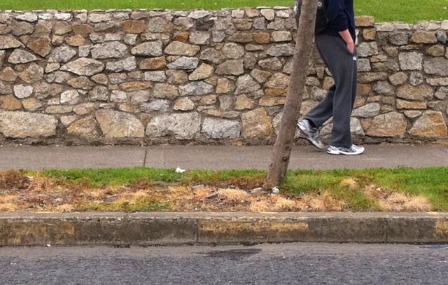 weed-killed road edge dublin.jpg