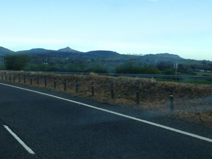 weed-killer N11 wicklow.jpg