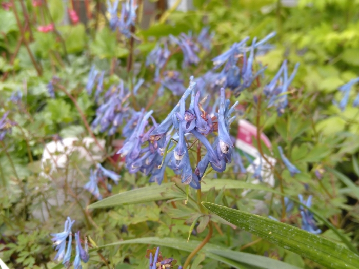 airfield june 20.jpg